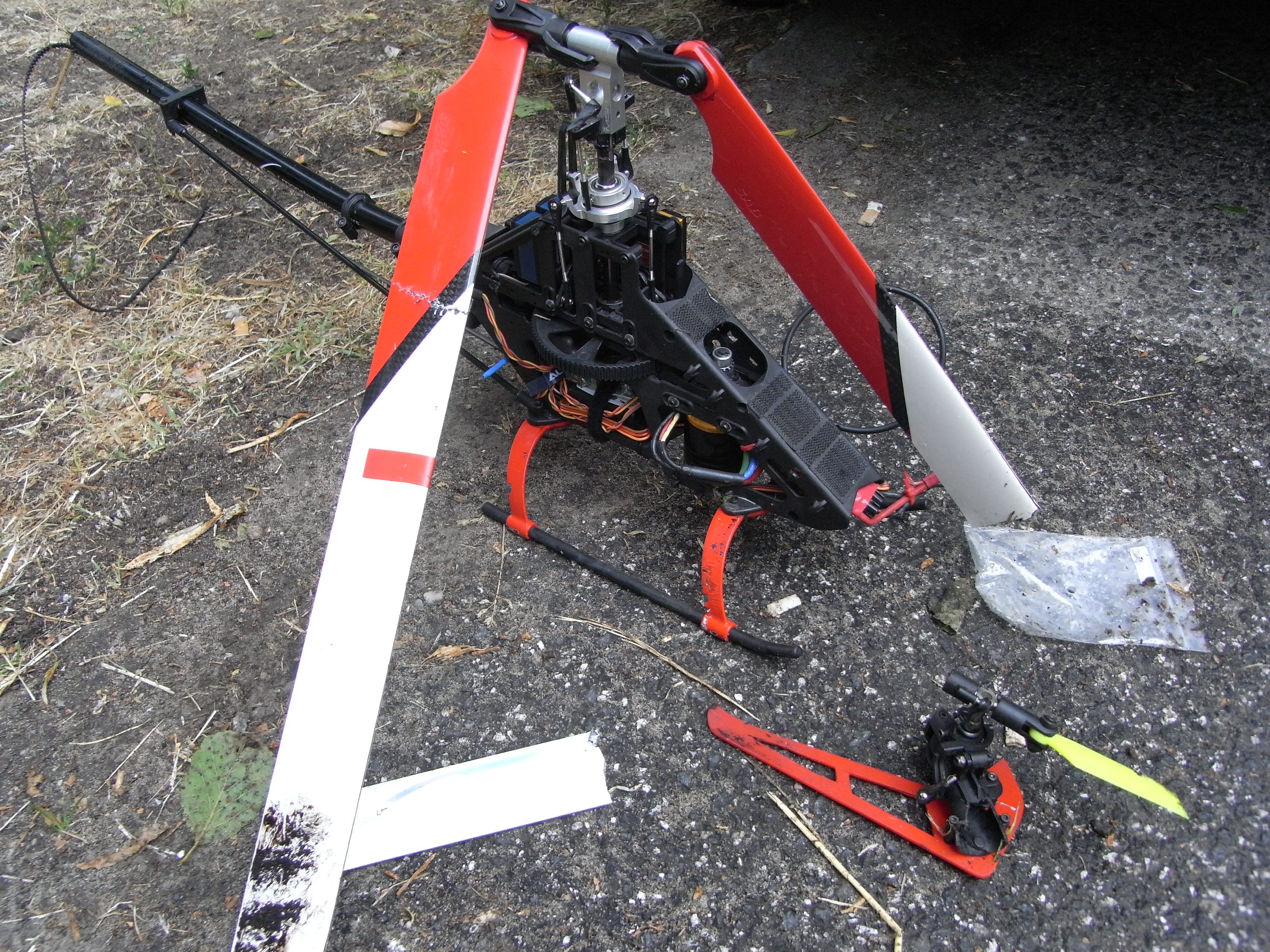 RIMG0423.JPG