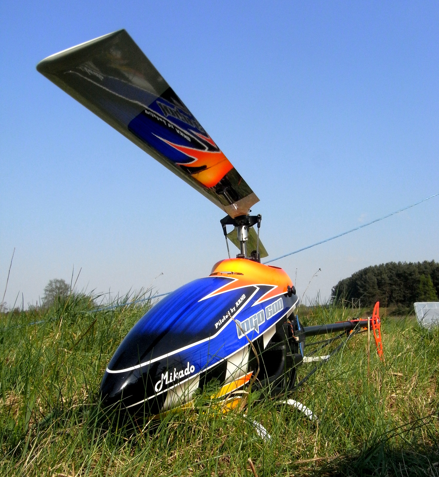 RIMG0019.JPG