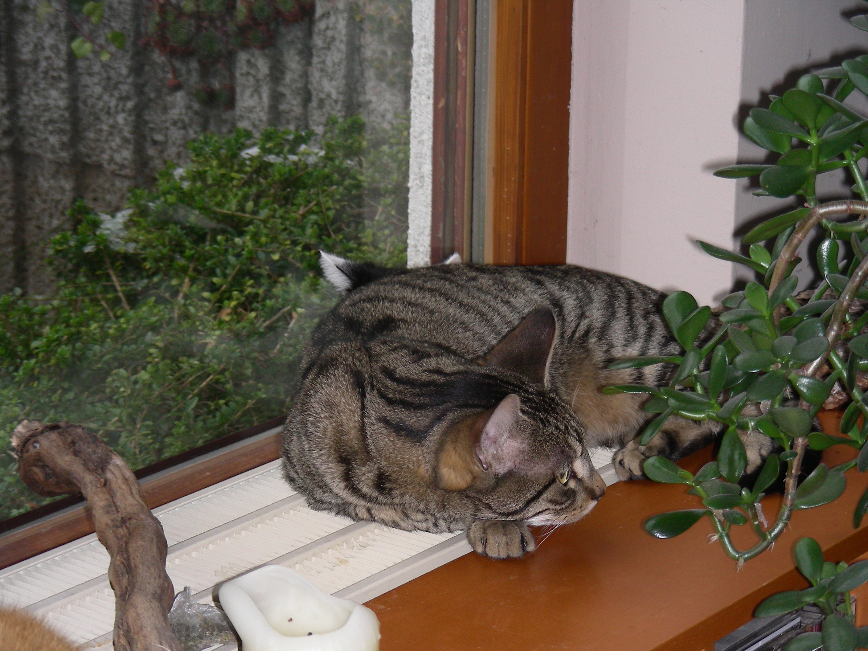 DSCN2720.JPG