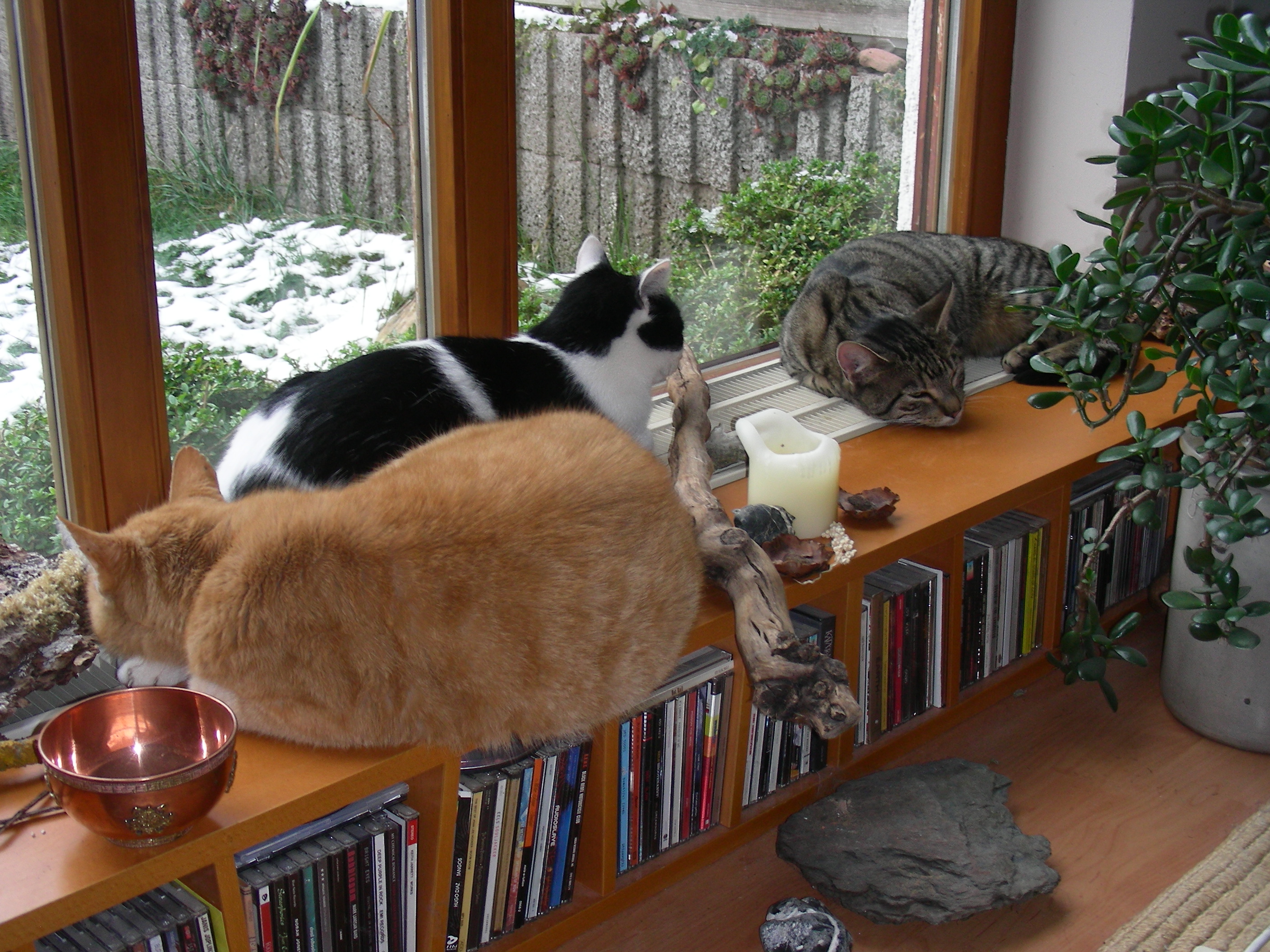 DSCN2717.JPG