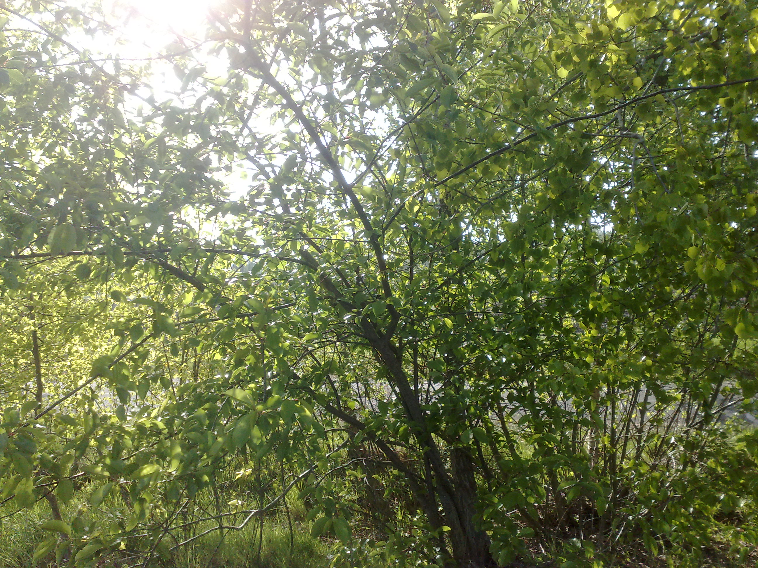 050520111171.jpg