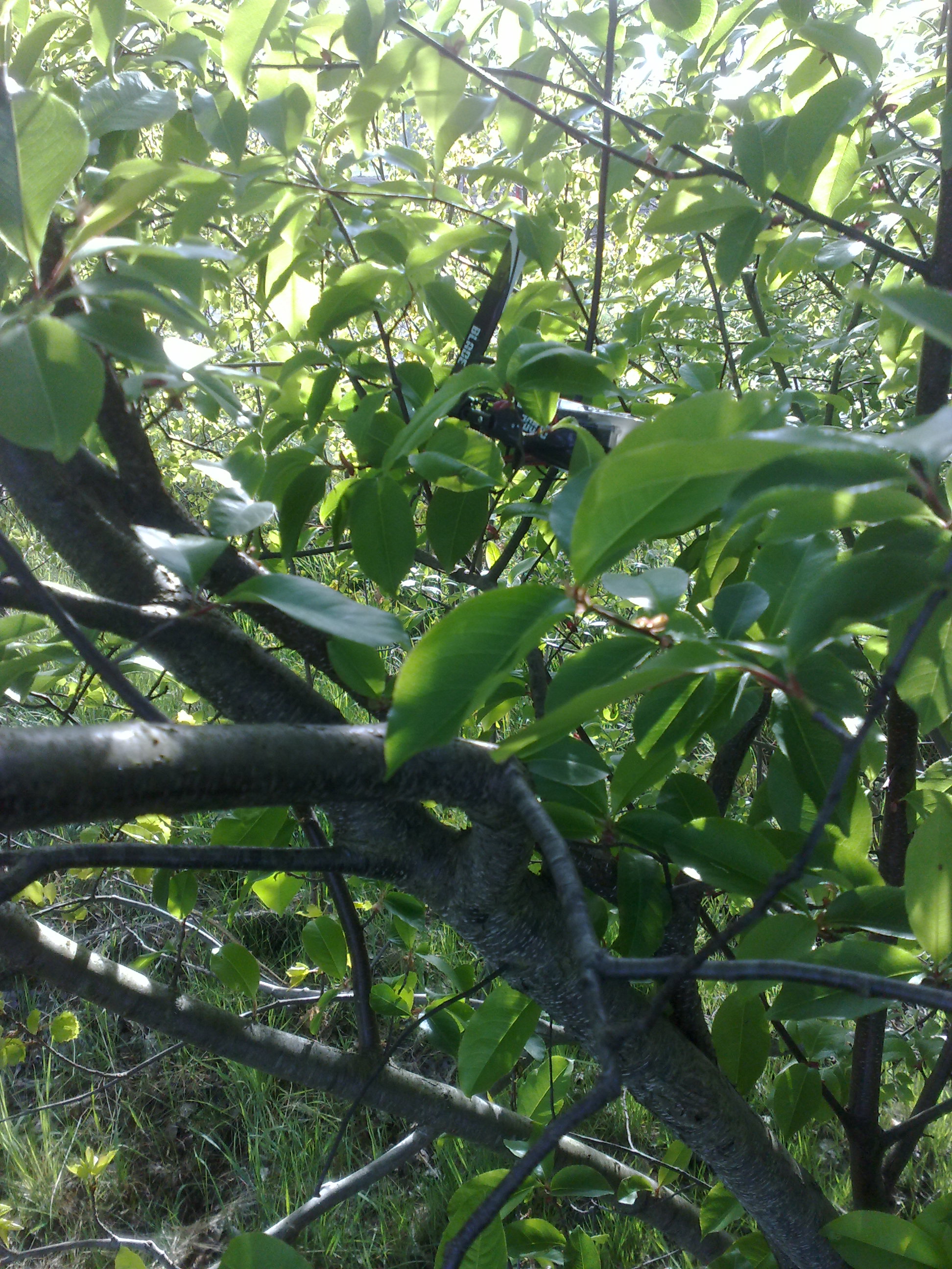 050520111169.jpg